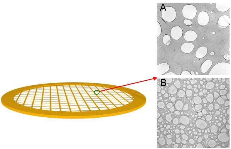 Carbon Supports for EM Analysis