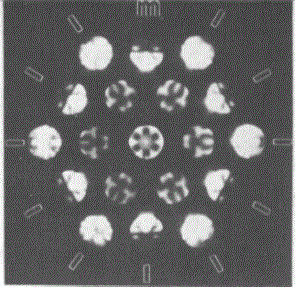[0001] CBED patterns of T1 (Al2CuLi) crystals: Projection-Diffraction Symmetry