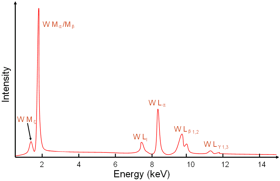 Full EDX spectrum from tungsten material
