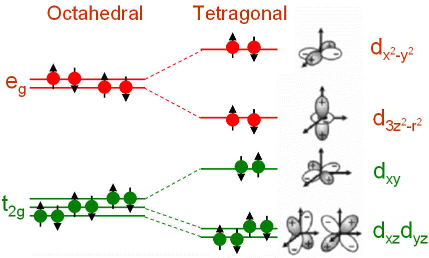 Ligand field splitting of d orbitals in an octahedral ligand field