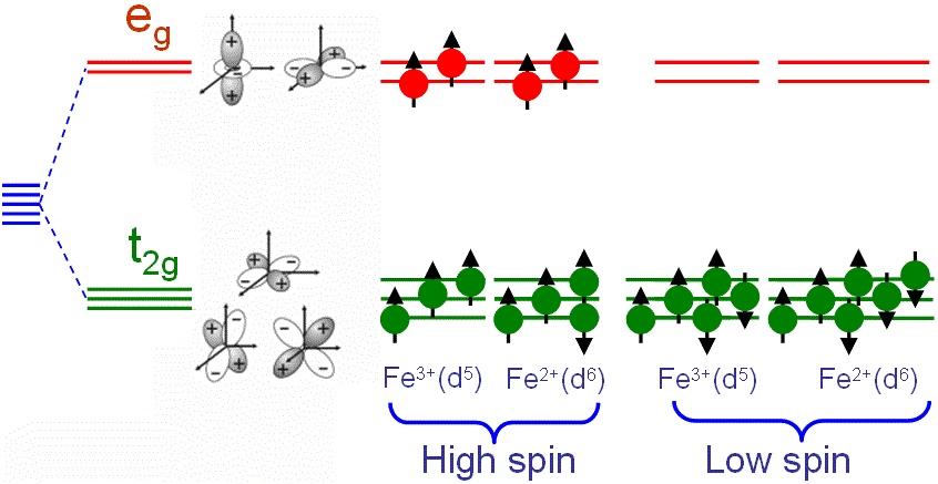 Ligand field splitting of d orbitals for Fe in an octahedral ligand field
