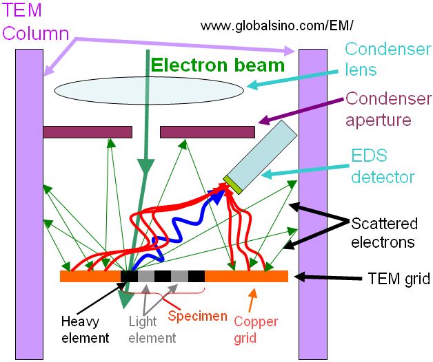 Electron beam at heavier elements