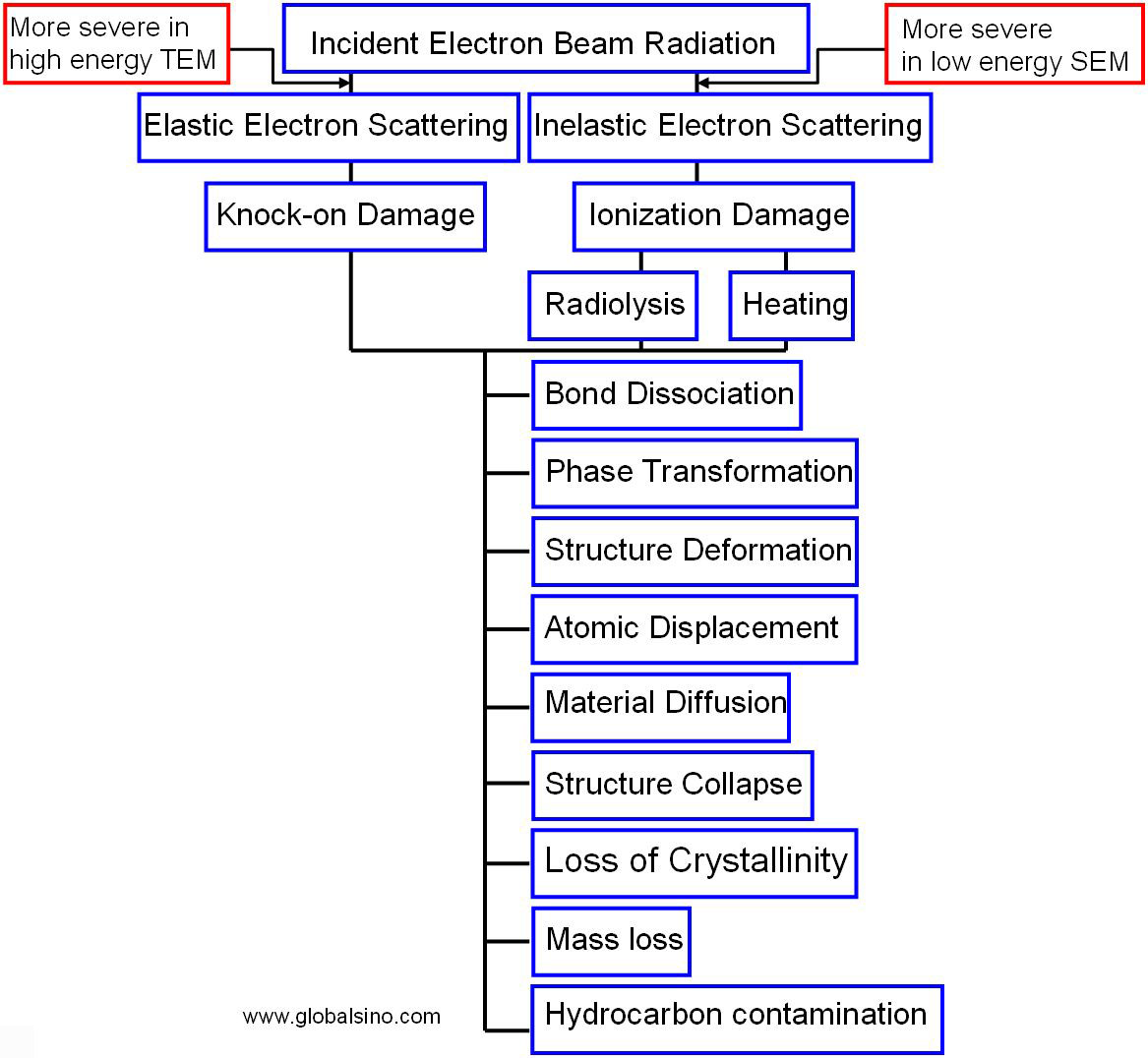 Detailed classification of electron beam radiation damage.