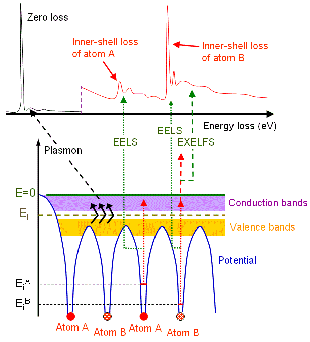 Schematic illustration of an energy-loss spectrum and the formation of three main energy-loss peaks