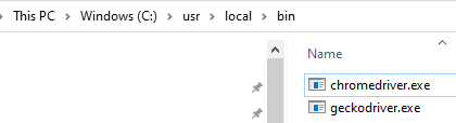 Installation of Webdriver