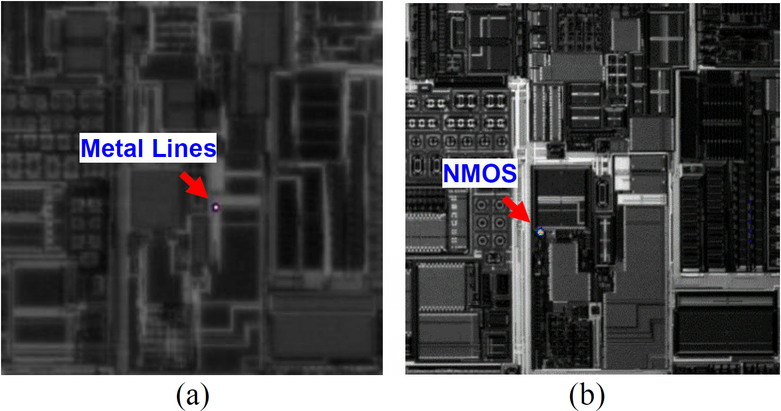 The observed defect: (a) optical and (b) superimposed LIT image