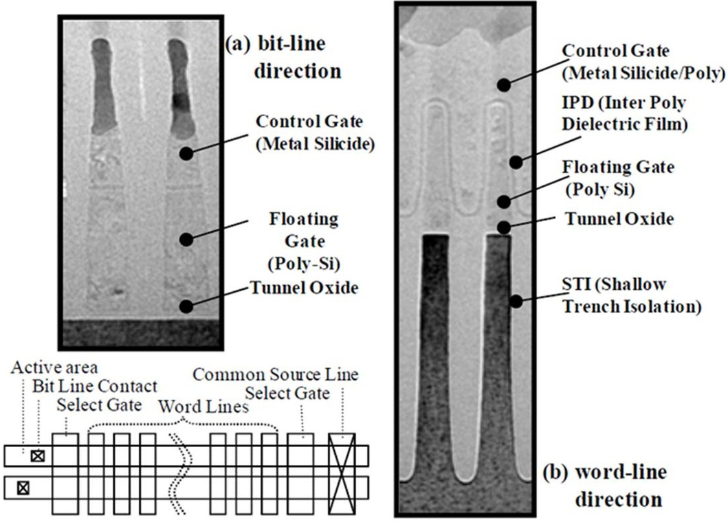 Common Source Line in 3D NAND