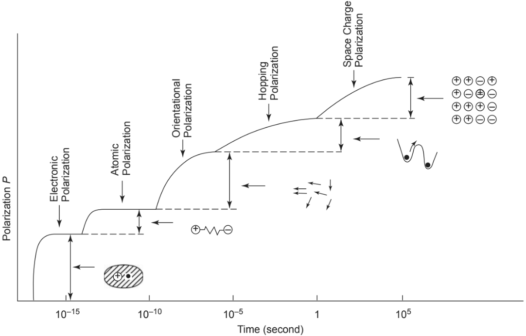 Variation of different types of polarization with time under a step-function electric field F